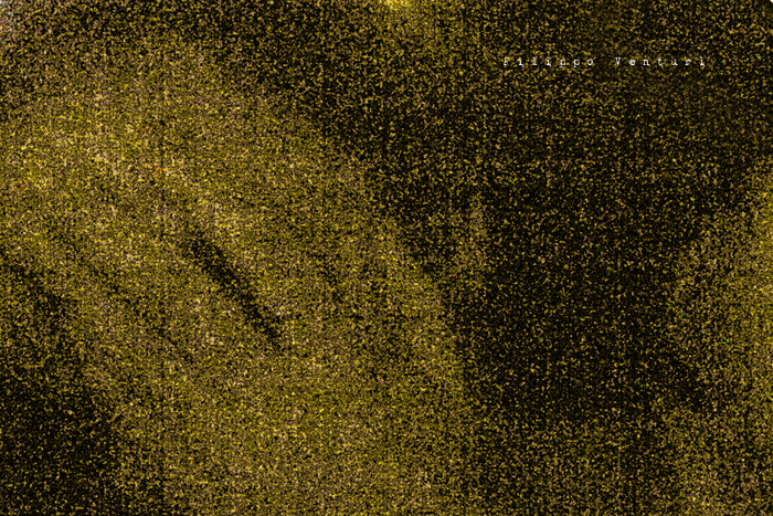 Dream of deluxe potatoes and coca light (photo 13)