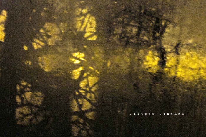 Dream of deluxe potatoes and coca light (photo 14)