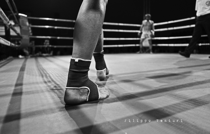 Fight for glory (photo 1)