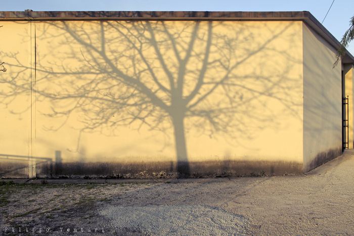 Il silenzio del crepuscolo (foto 1) Il silenzio del crepuscolo (foto 1)