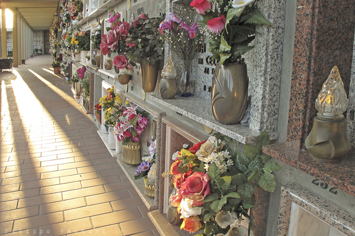 Il silenzio del crepuscolo (foto 4) Il silenzio del crepuscolo (foto 4)