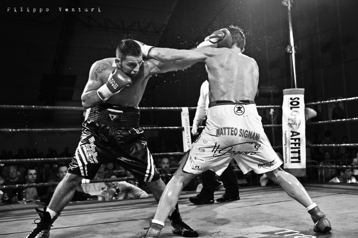 Boxe, Matteo Signani vs Gaetano Nespro (Seven di Savignano) Foto 25 Boxe, Matteo Signani vs Gaetano Nespro (Seven di Savignano) Foto 25