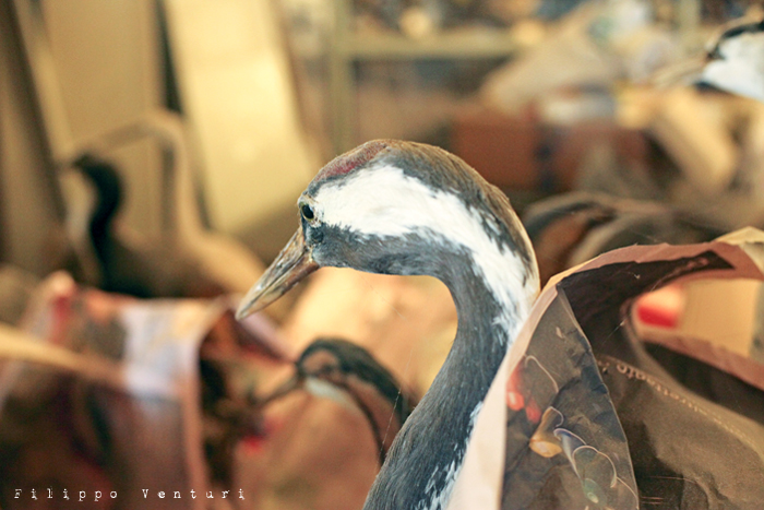 J.D. Salinger, The catcher in the rye, Where the ducks went when the lagoon got all icy and frozen over (photo 1) J.D. Salinger, The catcher in the rye, Where the ducks went when the lagoon got all icy and frozen over (photo 1)