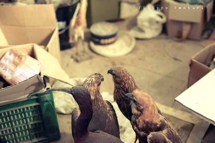 J.D. Salinger, The catcher in the rye, Where the ducks went when the lagoon got all icy and frozen over (photo 2) J.D. Salinger, The catcher in the rye, Where the ducks went when the lagoon got all icy and frozen over (photo 2)