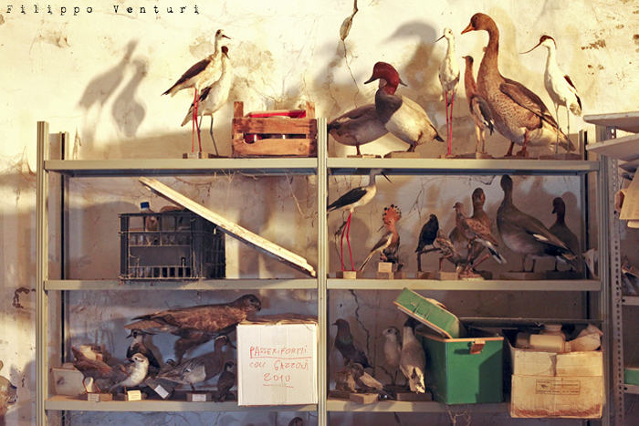 J.D. Salinger, The catcher in the rye, Where the ducks went when the lagoon got all icy and frozen over (photo 4) J.D. Salinger, The catcher in the rye, Where the ducks went when the lagoon got all icy and frozen over (photo 4)