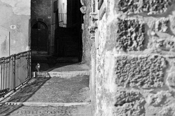 Scanno, il paese dei fotografi (foto 17) Scanno, il paese dei fotografi (foto 17)