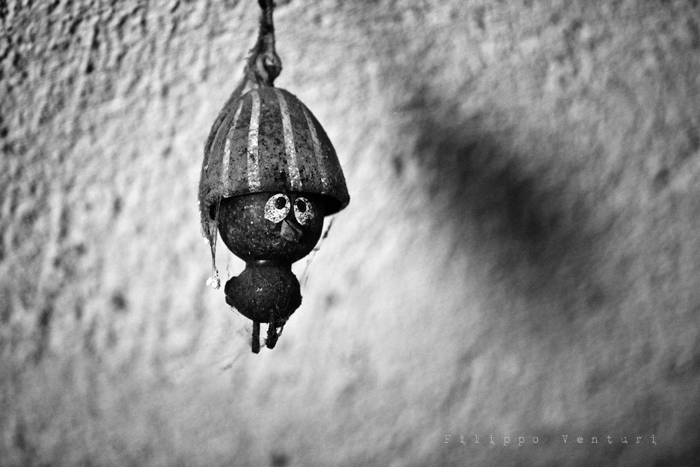 L'Aquila Earthquake, photo #37