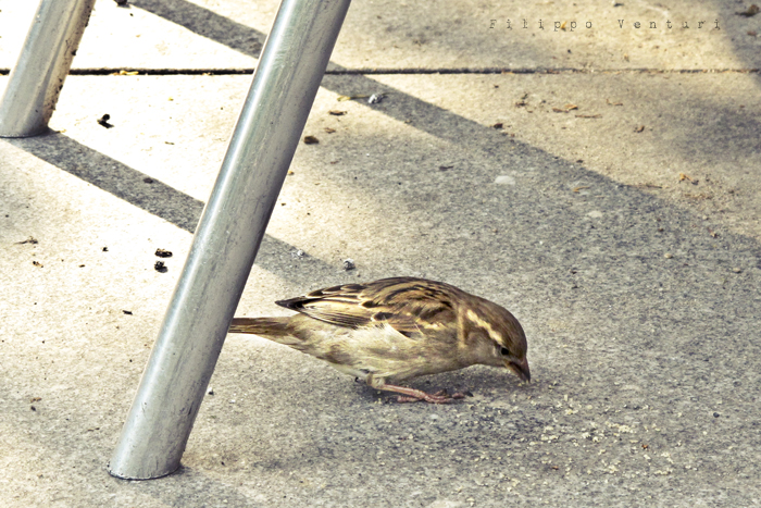 Berlin days (4), photo 18