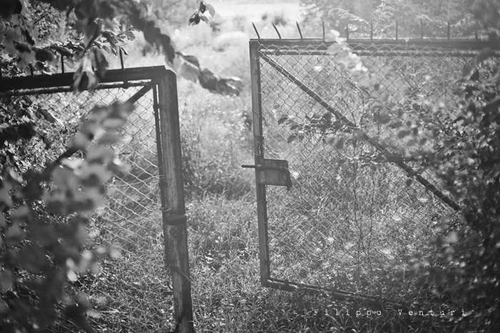 Ex Oblivione, Howard Phillips Lovecraft, photo 1