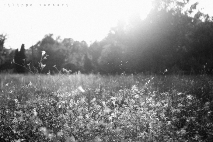 Ex Oblivione, Howard Phillips Lovecraft, photo 2