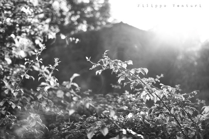 Ex Oblivione, Howard Phillips Lovecraft, photo 4