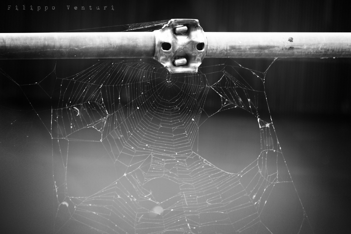 Ex Oblivione, Howard Phillips Lovecraft, photo 5