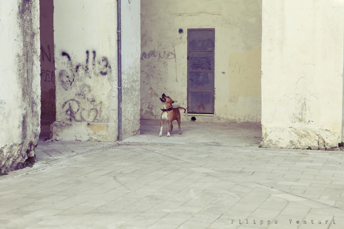 Nardò, l'adolescente (foto 3)