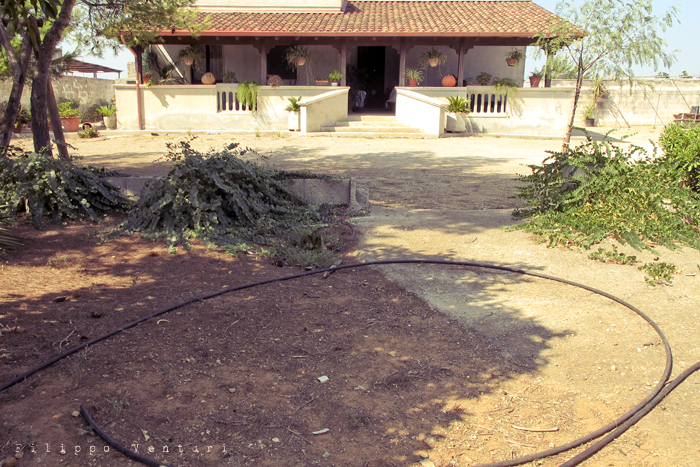 Nardò, l'adolescente (foto 12)