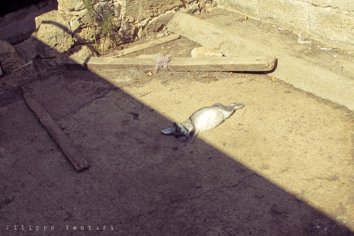 Nardò, l'adolescente (foto 13)