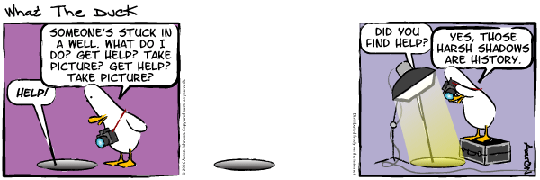 What the duck, strip 3 What the duck, strip 3