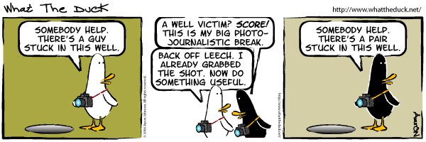 What the duck, strip 4 What the duck, strip 4