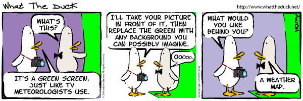What the duck, strip 9 What the duck, strip 9