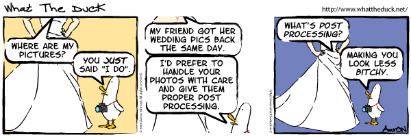 What the duck, strip 12 What the duck, strip 12