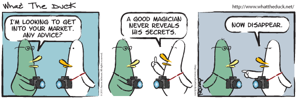 What the duck, strip 17 What the duck, strip 17