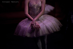 Sleeping Beauty, Moscow Ballet