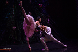 The Nutcracker, Moscow Ballet