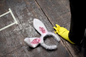 Dalla A alla Zebra (Backstage)