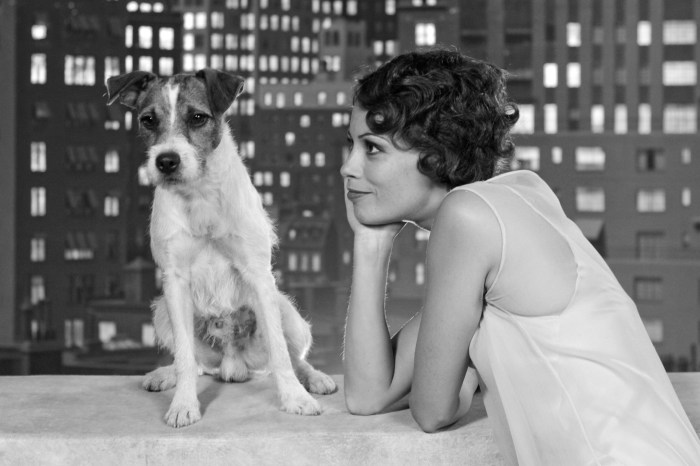 The Artist, movie by Michel Hazanavicius, photo 5
