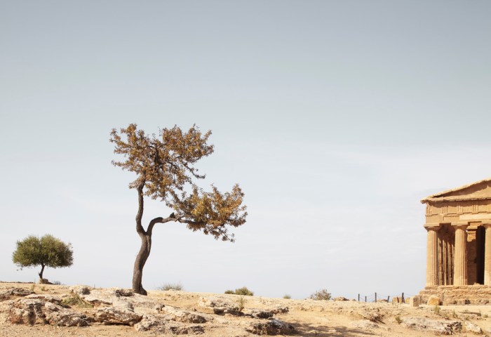 Luca Capuano, foto 2