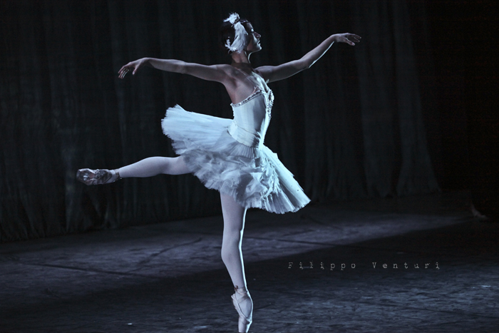 Balletto di Mosca, Il lago dei cigni (Russian Ballet Moscow, Swan Lake, Tchaikovsky), foto 15