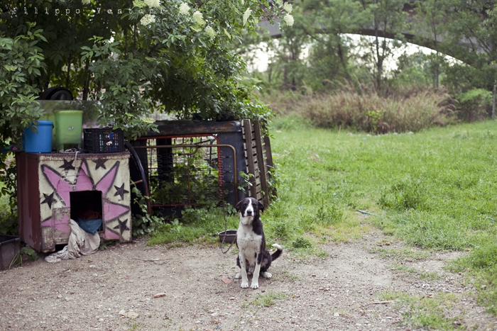 Mutoid Waste Company, photo 9