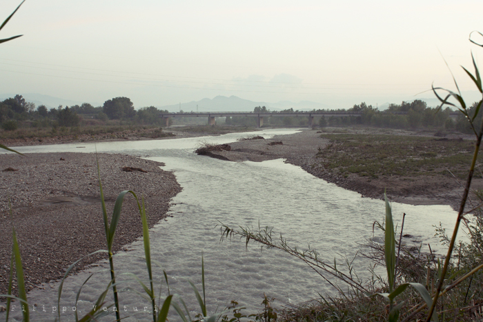 Mutoid Waste Company, photo 16