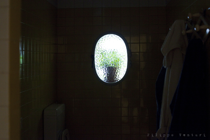 Osvaldo Piraccini, foto 23