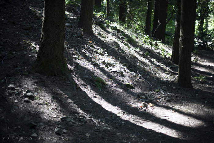Eremo di Camaldoli, foto 1