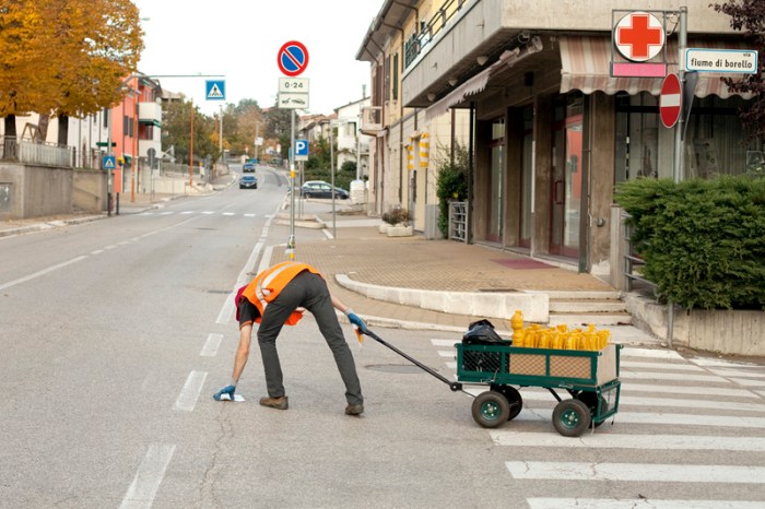 Douglas Scholes, photo 4