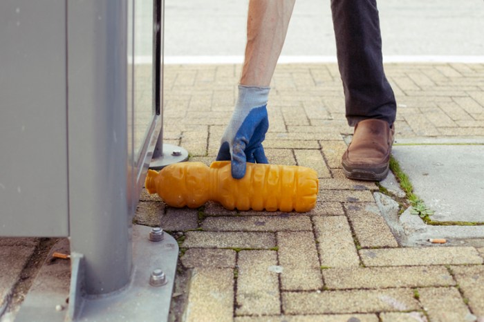 Douglas Scholes, photo 5