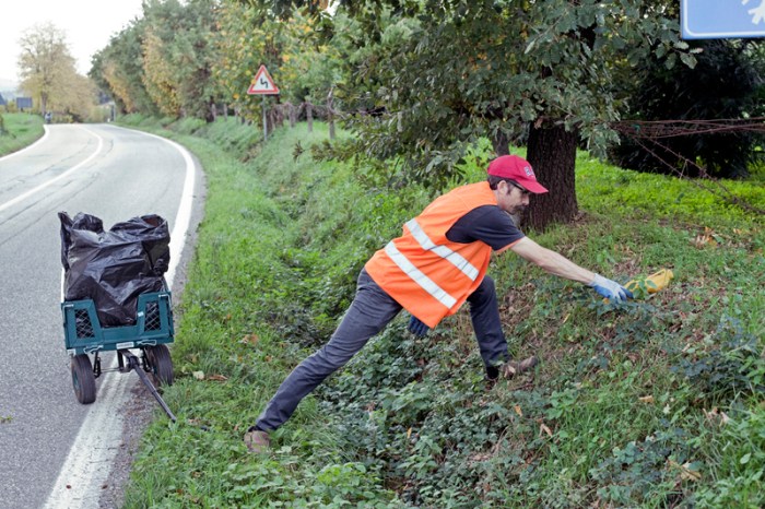 Douglas Scholes, photo 17