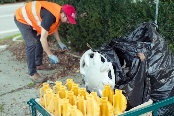 Douglas Scholes, photo 19