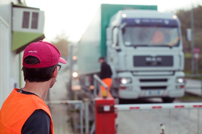 Douglas Scholes, photo 34