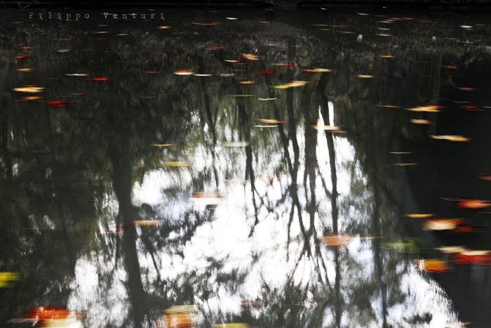 Halloween in London, photo 5