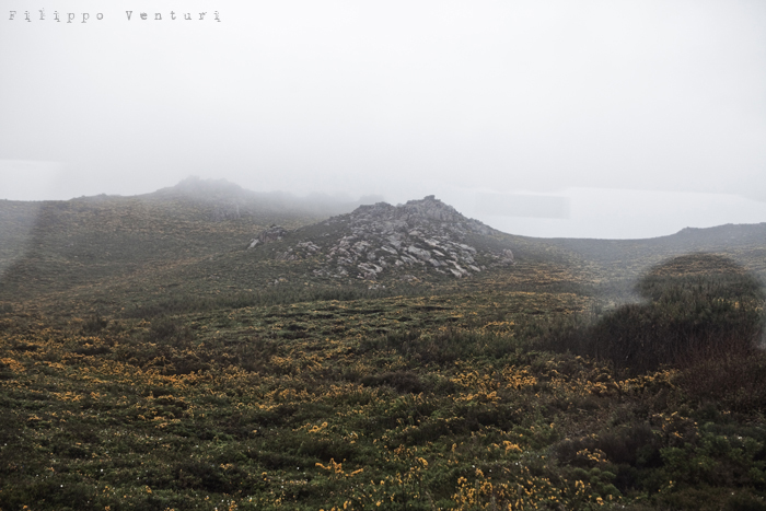 Camariñas, photo 20