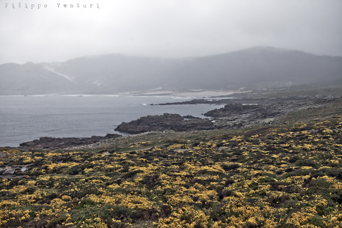 Camariñas, photo 21