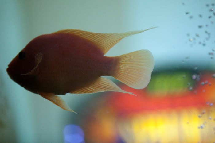 Mind the G.A.P. (10)