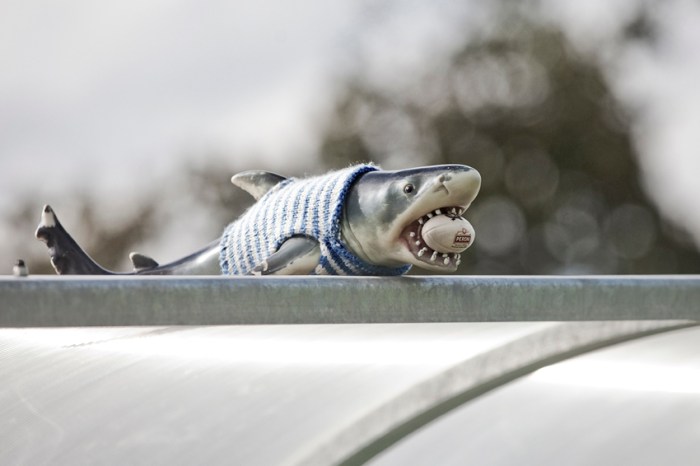 Romagna Rugby VS Pro Recco Rugby, photo 31