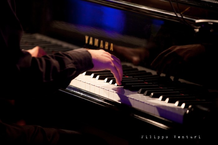 Concerto di Nicola Piovani e dell'Orchestra Italiana del Cinema (Santarcangelo di Romagna), foto 46