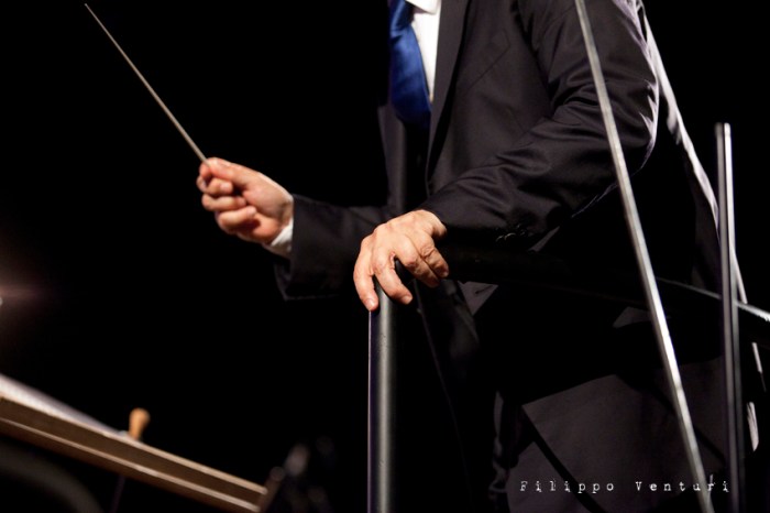 Concerto di Nicola Piovani e dell'Orchestra Italiana del Cinema (Santarcangelo di Romagna), foto 59