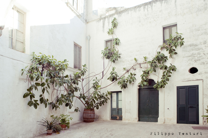 Vestigia e Simulacri, foto 5