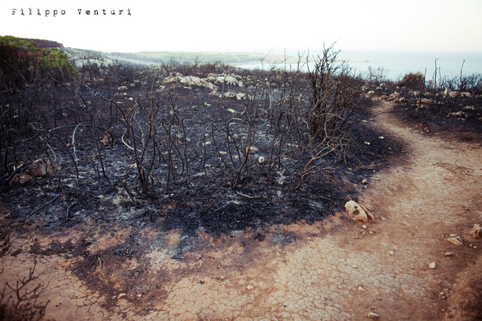 Vestigia e Simulacri, foto 12