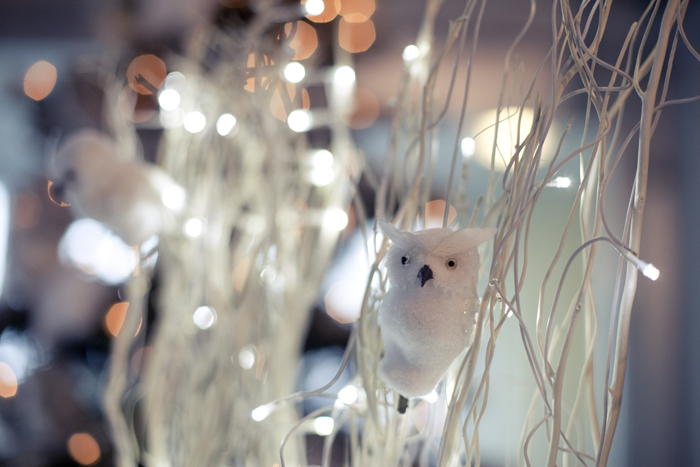 Icas, cash and carry, foto 4