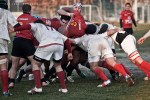 Romagna RFC - Firenze Rugby (photo 30)